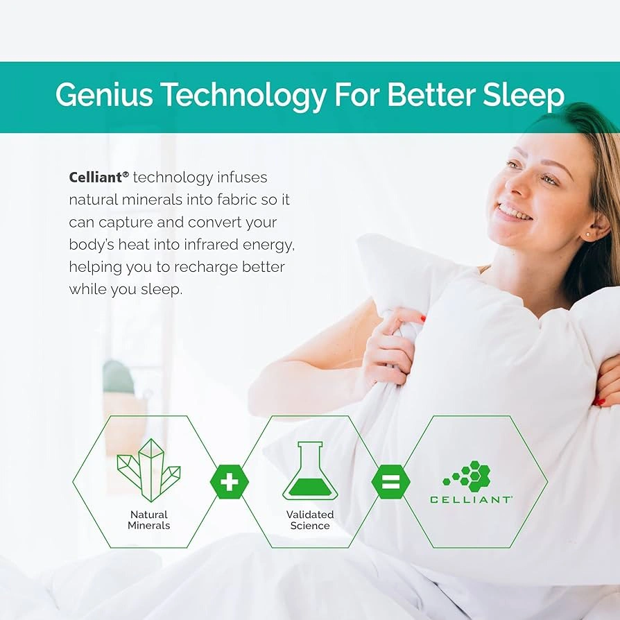 BioPosture Mattress Infographic On Their Proprietary Technology